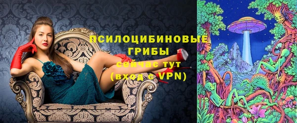 гашик Алексин