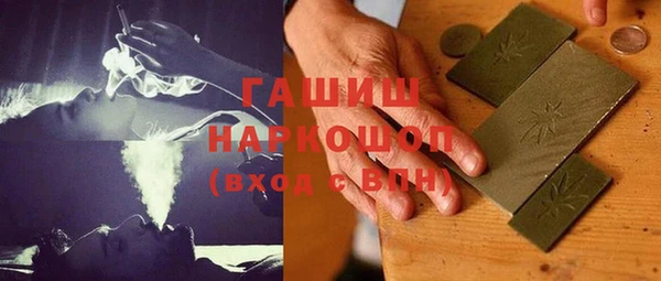 мдпв Новозыбков
