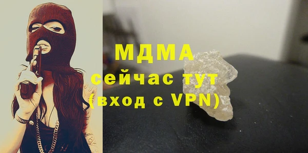 гашик Алексин
