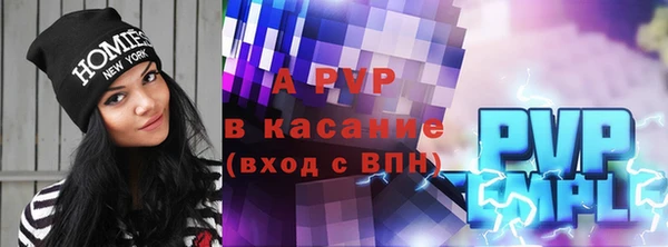 гашик Алексин
