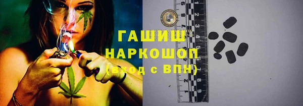 гашик Алексин
