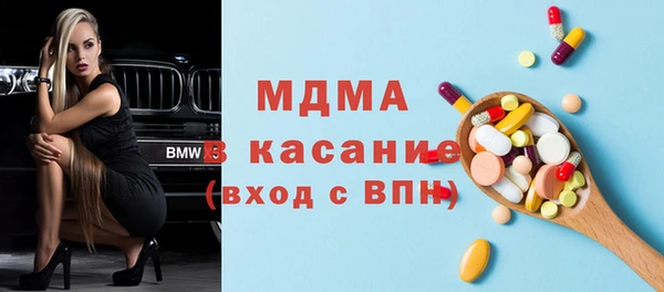 гашик Алексин