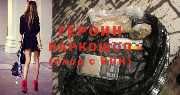 гашик Алексин
