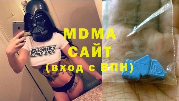гашик Алексин