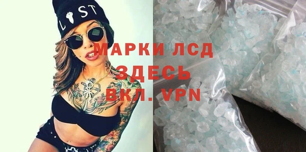 спиды Новодвинск